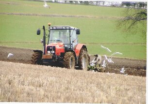A ploughing scene 